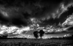img_4410_1_2_tonemapped-copy.jpg