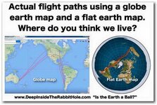 OIP-6.jpeg