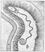 serpent mound.jpg serpent mound.jpg