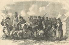 102 best images about FORGOTTEN IRISH SLAVES.jpg