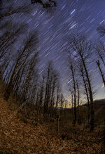 C0525937-Star_trails_over_Hyrcanian_Forests,_Iran.jpg