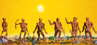 P1500067-Enhanced_Vesalius_drawings_showing_muscular_system.jpg