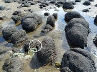 Hunstanton beach close up cut with circle.jpg