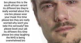 Bro Please.png
