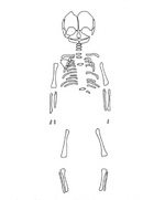 Hambleden baby remaining skeleton.png
