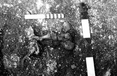 pit 4332 intact foot bones -013.jpg