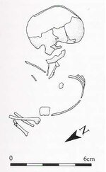 halved baby parts missing -024.jpg