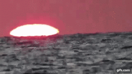 oZjgDN.gif