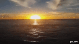 qQlXN3.gif
