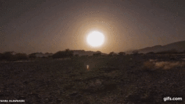 Qk6qMY.gif
