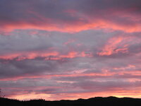 DSCN0982.JPG