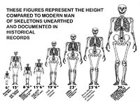 2000s giant height graph.jpg