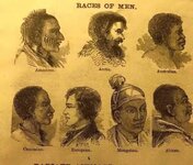 The-Races-of-Nen-Caucasians-are-not-white.jpeg