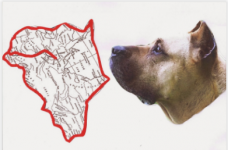 j-png.png