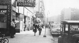 Bronx-1949.jpg