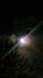 20230403_214555_3.gif