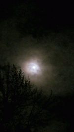 20230403_214555_2.gif