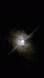 20230403_214555_1.gif