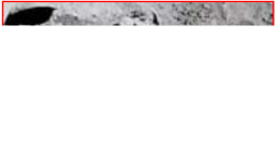 1700622395500.png