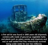 FB_IMG_1694044829157.jpg