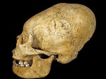 skull.jpg