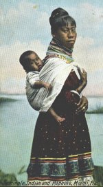 Seminole_1.jpg Seminole_1.jpg