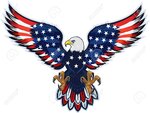 amareican eagle.jpg amareican eagle.jpg