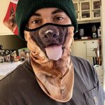 dog.jpeg dog.jpeg
