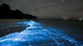 ?u=https%3A%2F%2Ftse2.mm.bing.net%2Fth%3Fid%3DOIP.jpg