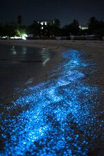 ?u=https%3A%2F%2Ftse4.mm.bing.net%2Fth%3Fid%3DOIP.jpg