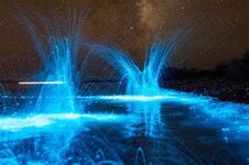 ?u=https%3A%2F%2Ftse3.mm.bing.net%2Fth%3Fid%3DOIP.jpg ?u=https%3A%2F%2Ftse3.mm.bing.net%2Fth%3Fid%3DOIP.jpg