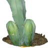 EinarK