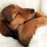 sleepy