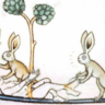 BunnyConspiracy