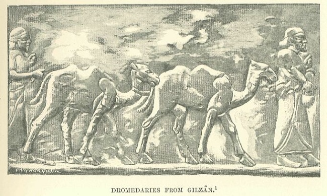 Muzri_16.jpg