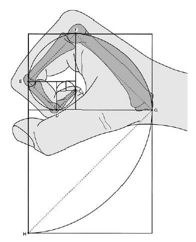 1544996861660.png