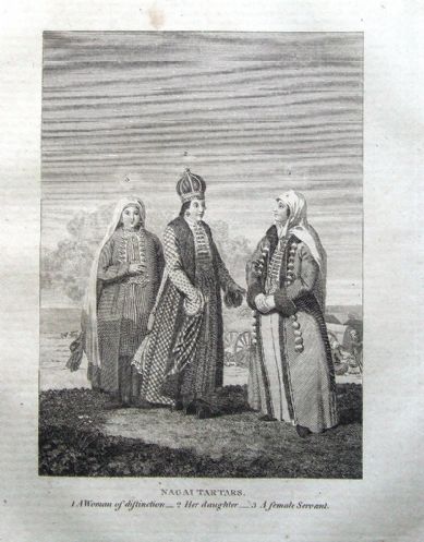 16955 16955