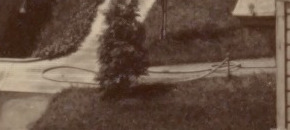 17831