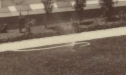 17894