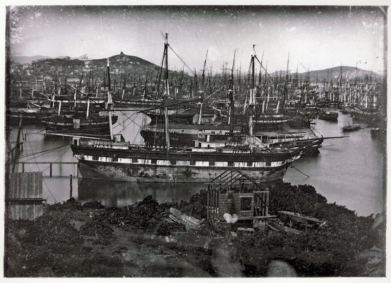 18445