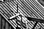 18994 18994