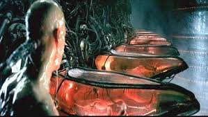 20229