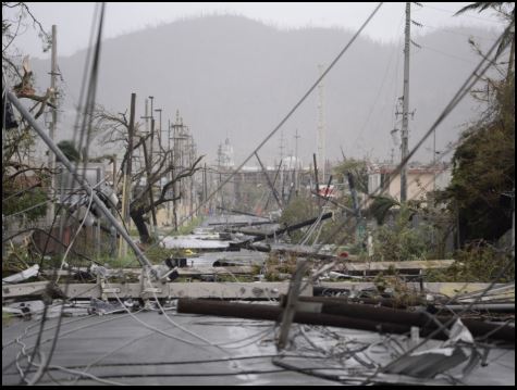 power poles.JPG
