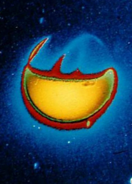 20190418_102509.png