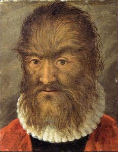 21517 21517