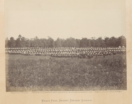 wagon park.png