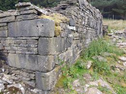 cowmclough2.jpg