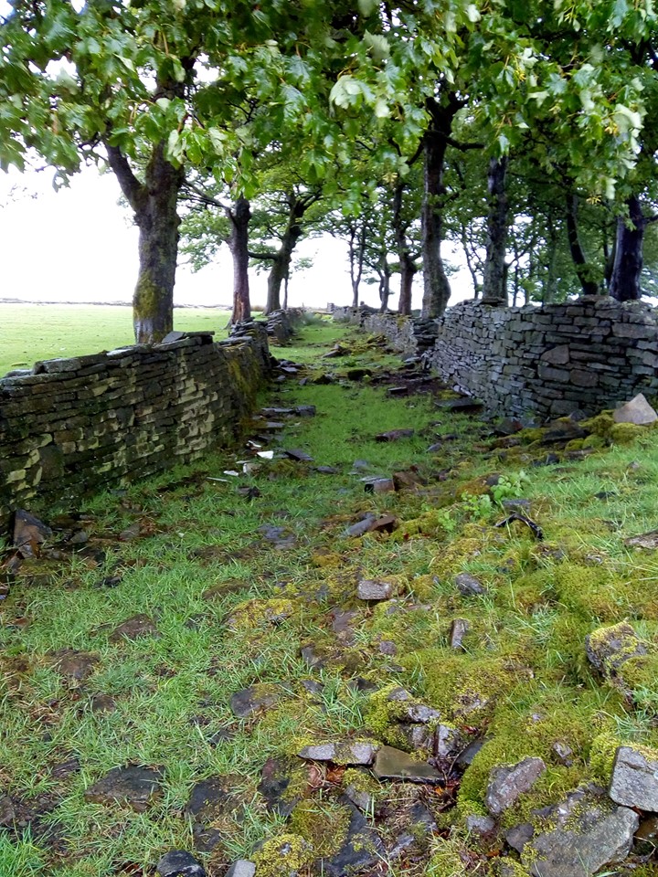 walkway brown wardle.jpg