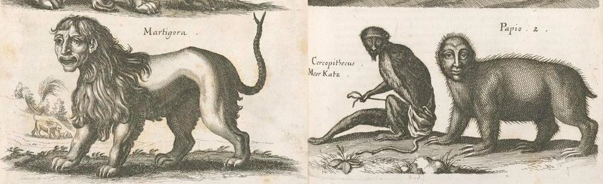 53_chimera.jpg 53_chimera.jpg