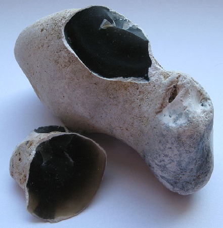 Flint_with_weathered_crust.jpg Flint_with_weathered_crust.jpg